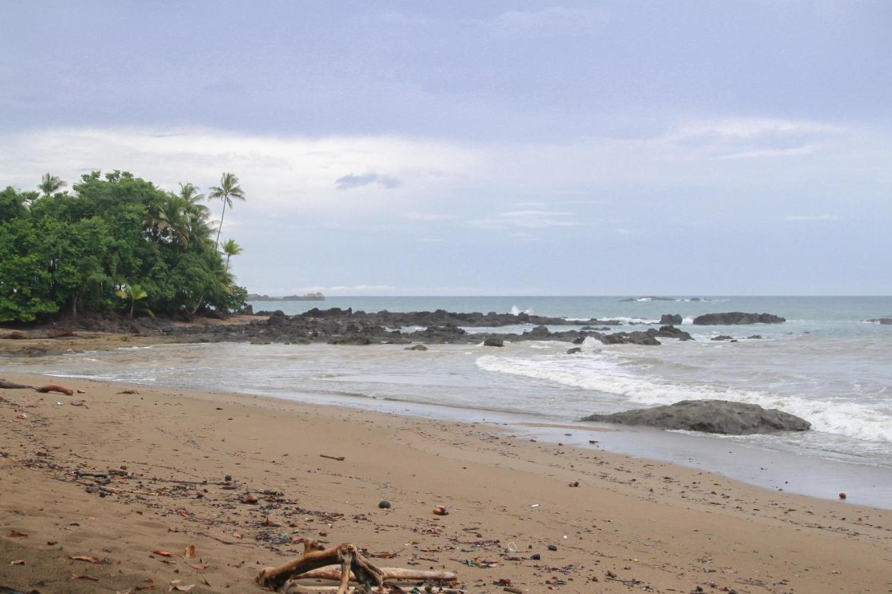Aguila De Osa Rainforest 3* Drake Bay