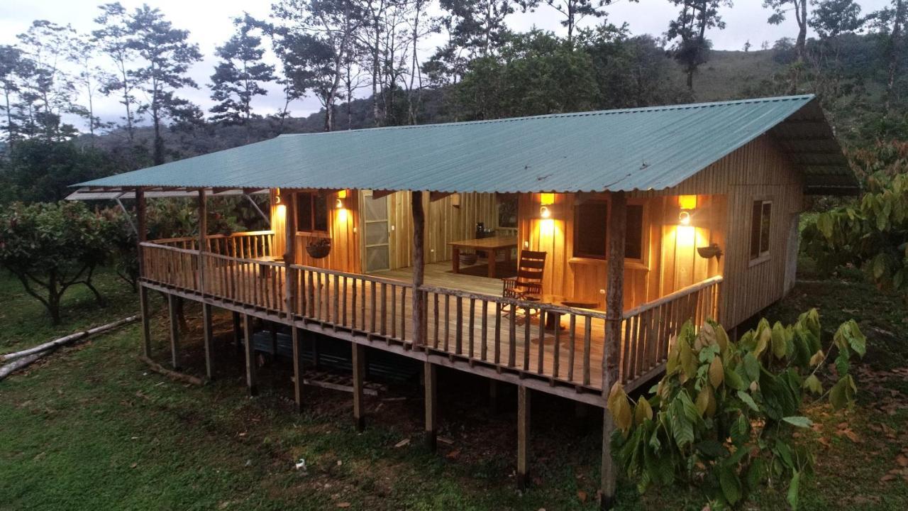Amistad Cacao *