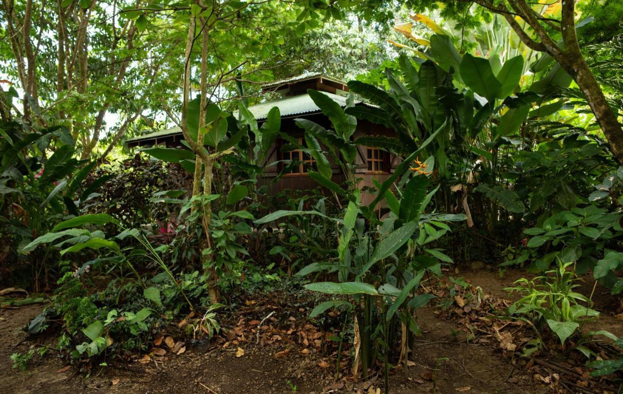 Holiday home Brisas Del Sur Ojochal