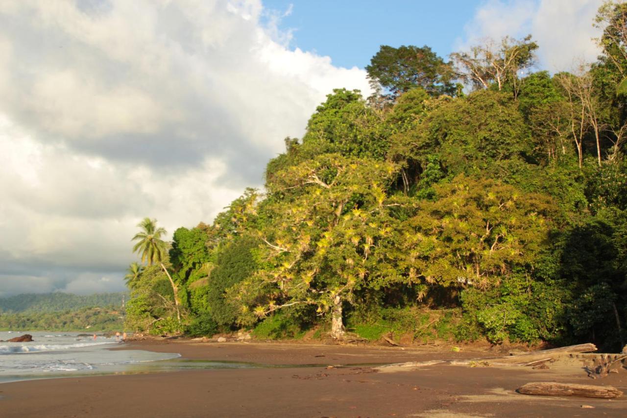 Bed & Breakfast Casa Horizontes Corcovado 2*