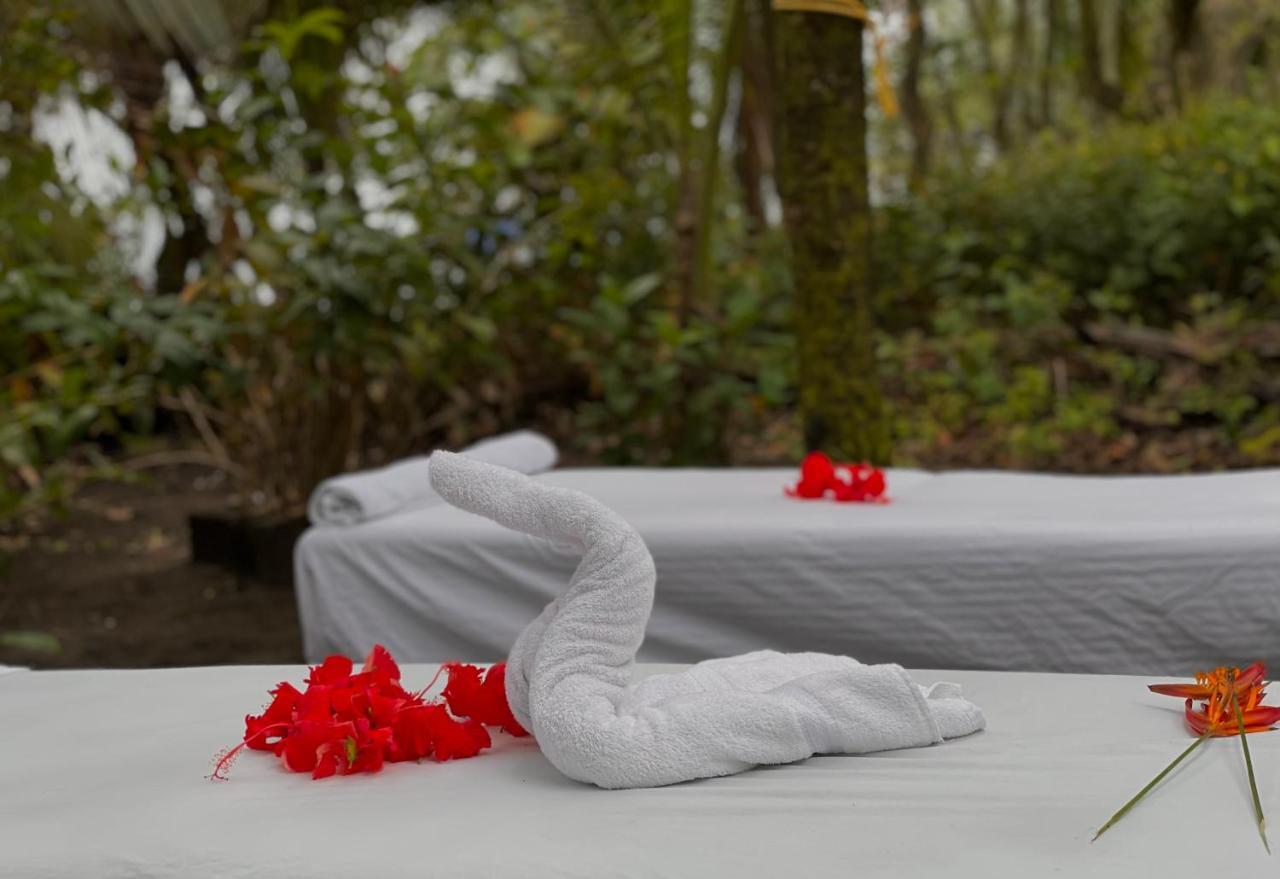 Hotel El Icaco Tortuguero