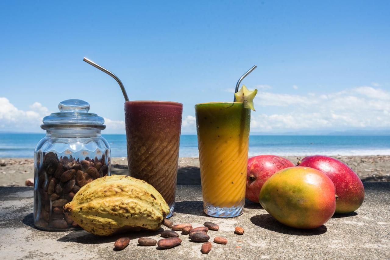 Lodge Cafe De La Suerte Pavones (Puntarenas)