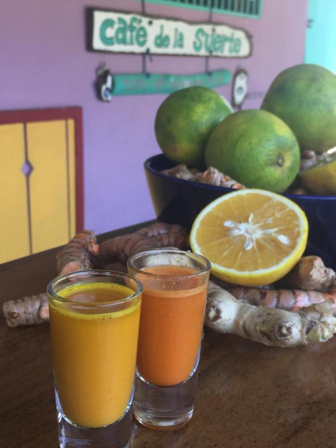 Cafe De La Suerte Pavones (Puntarenas)