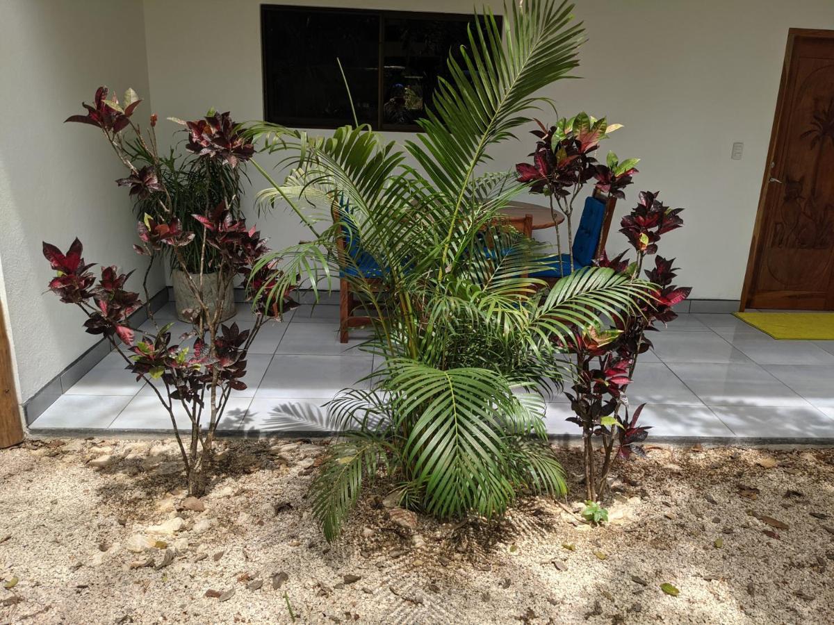 Paradise Nosara