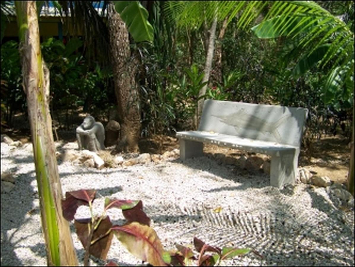 Paradise Nosara