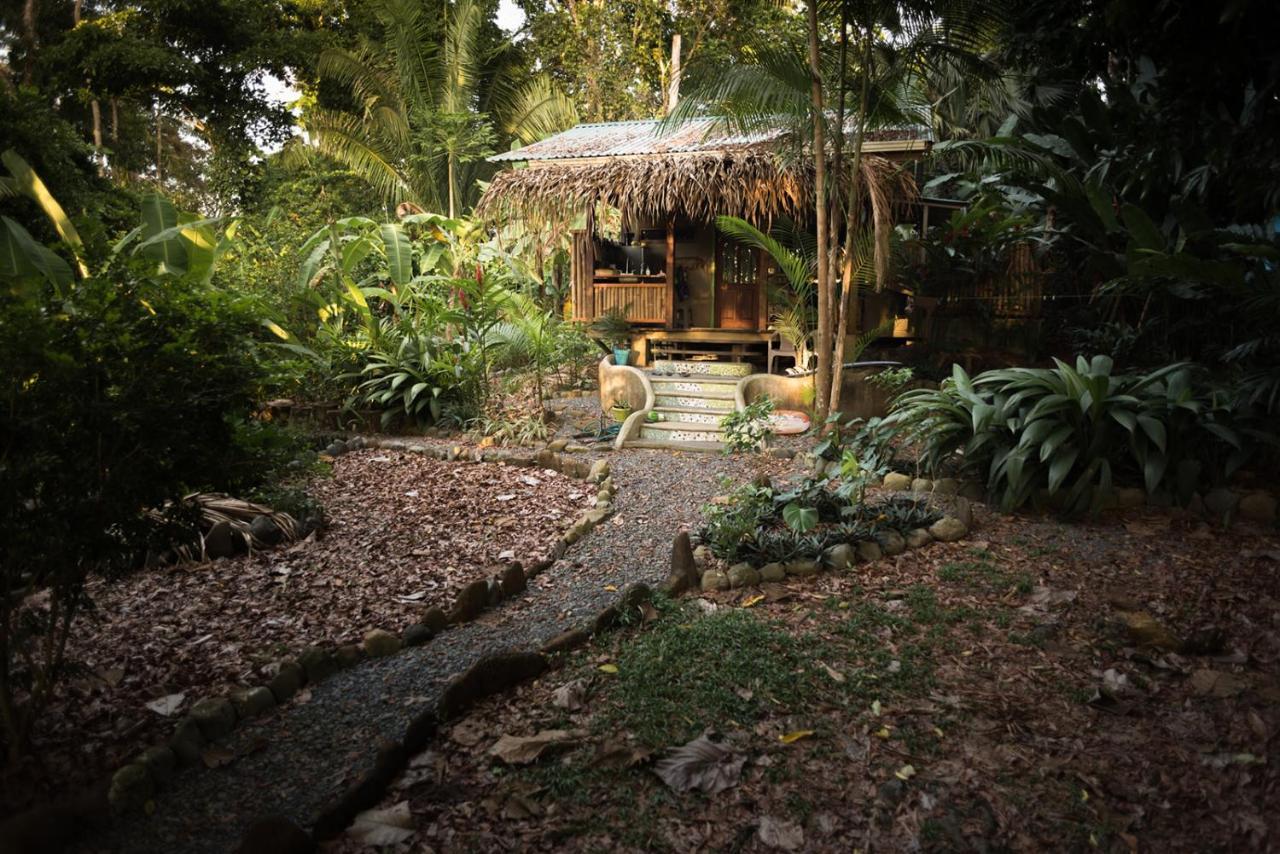 Cafe De La Suerte Lodge *
