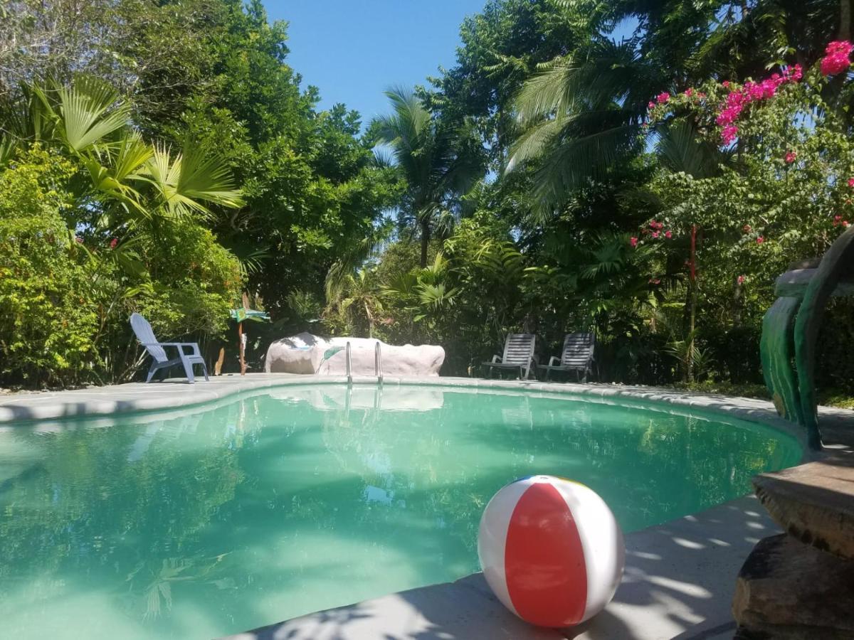 Hotel El Colibri Rojo - Cabinas - Le Colibri Rouge Bed & Breakfast 2*