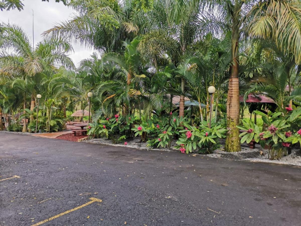 Hotel Palmera Real Hot Springs 2*