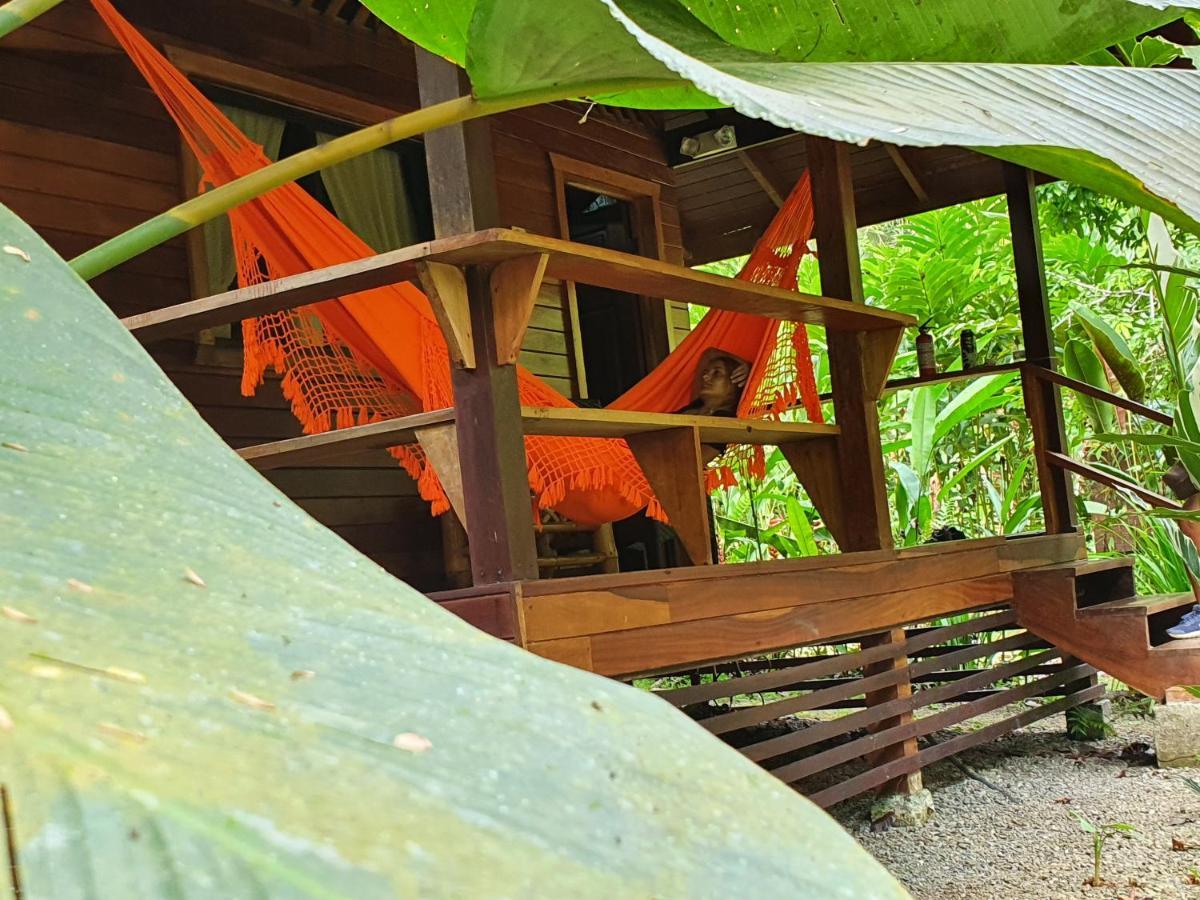 Hotel Cariblue And Jungle 3*