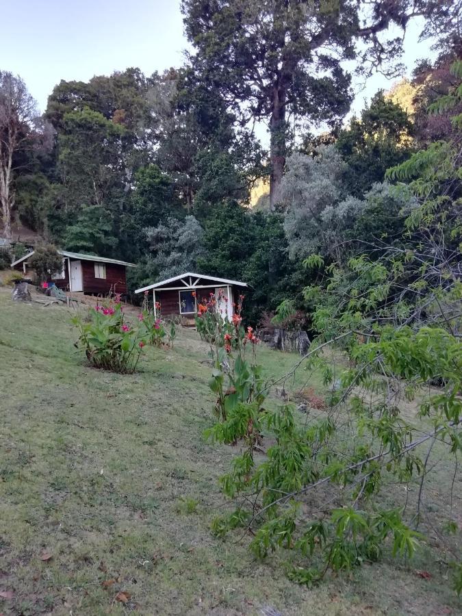 Bed & Breakfast Miriam's Quetzals