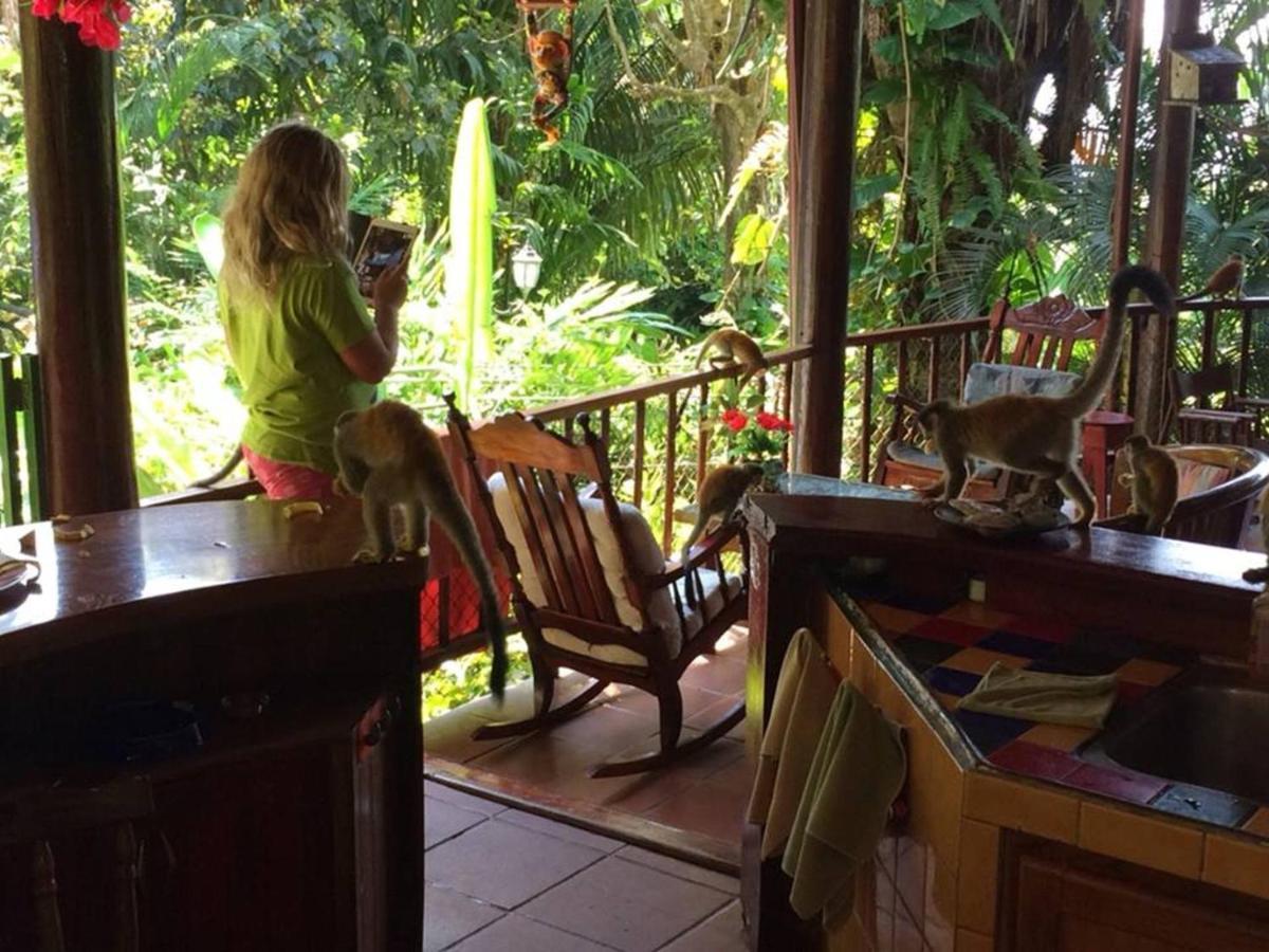 Park House - Adults Only Hotel Manuel Antonio