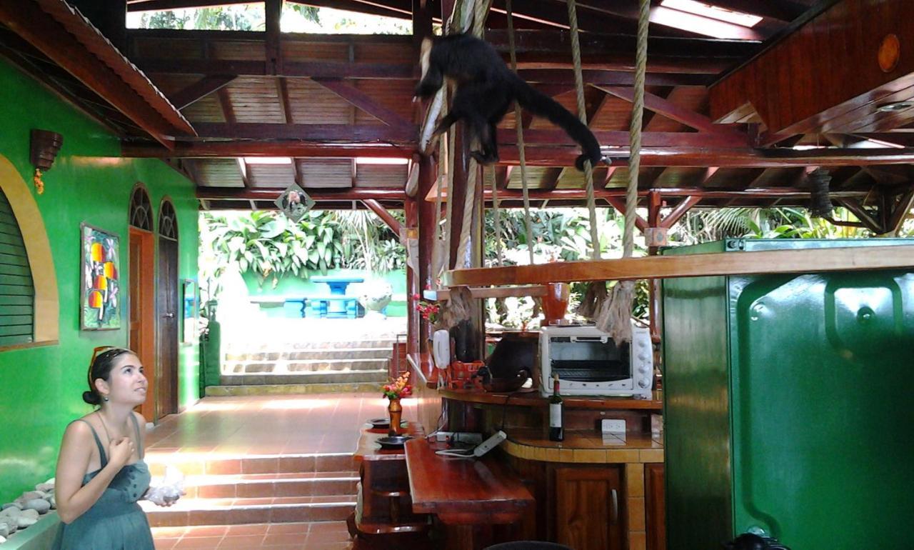 Park House - Adults Only * Manuel Antonio