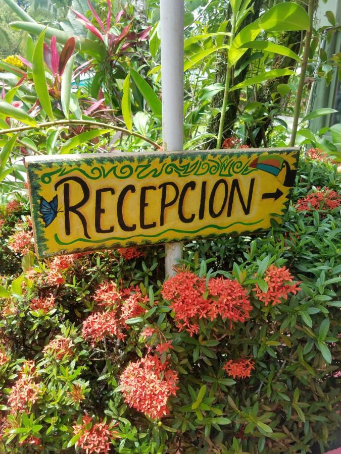 Bed & Breakfast Hotel El Colibri Rojo - Cabinas - Le Colibri Rouge 2*
