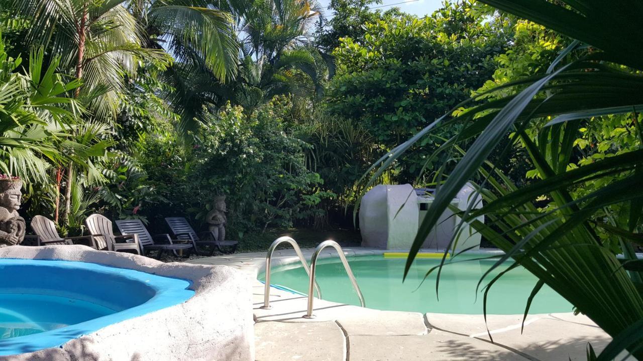 Bed & Breakfast Hotel El Colibri Rojo - Cabinas - Le Colibri Rouge