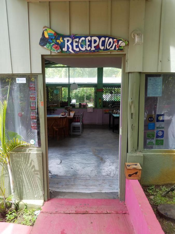 Hotel El Colibri Rojo - Cabinas - Le Colibri Rouge Bed & Breakfast Cahuita