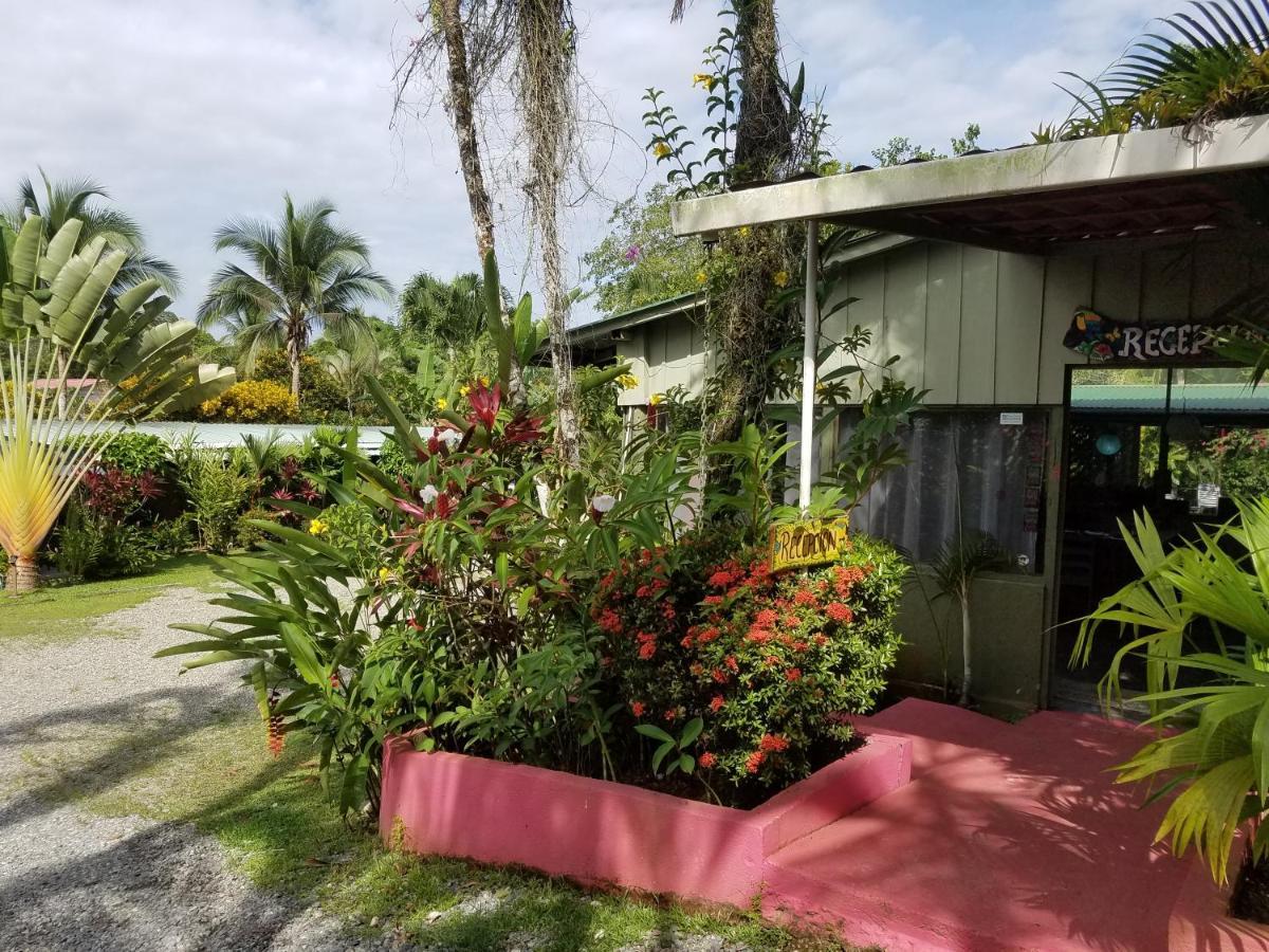 Hotel El Colibri Rojo - Cabinas - Le Colibri Rouge Bed & Breakfast Cahuita