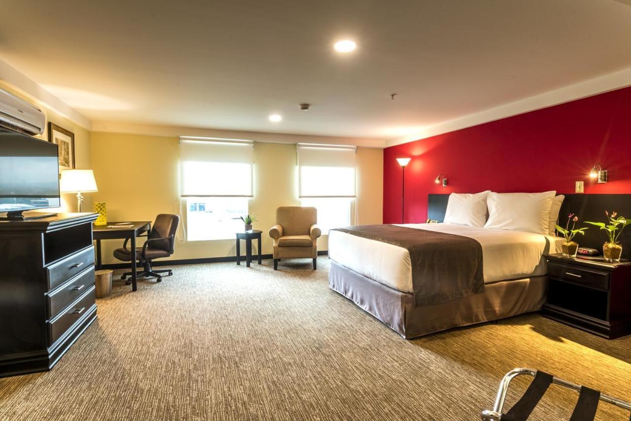 Hotel Urban &