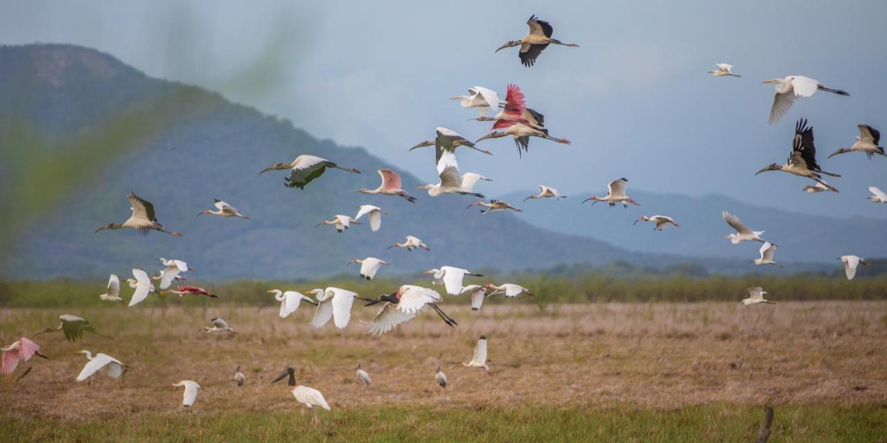 Rancho Humo 4* Puerto Humo (Guanacaste)