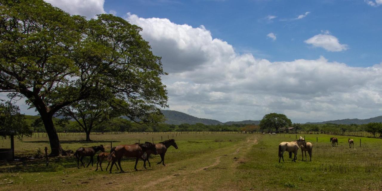 Rancho Humo Hotel Puerto Humo (Guanacaste)
