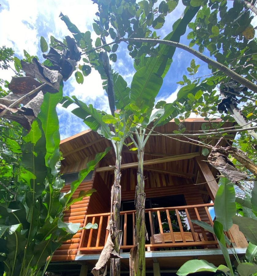 Arenal Rustic Lodge *