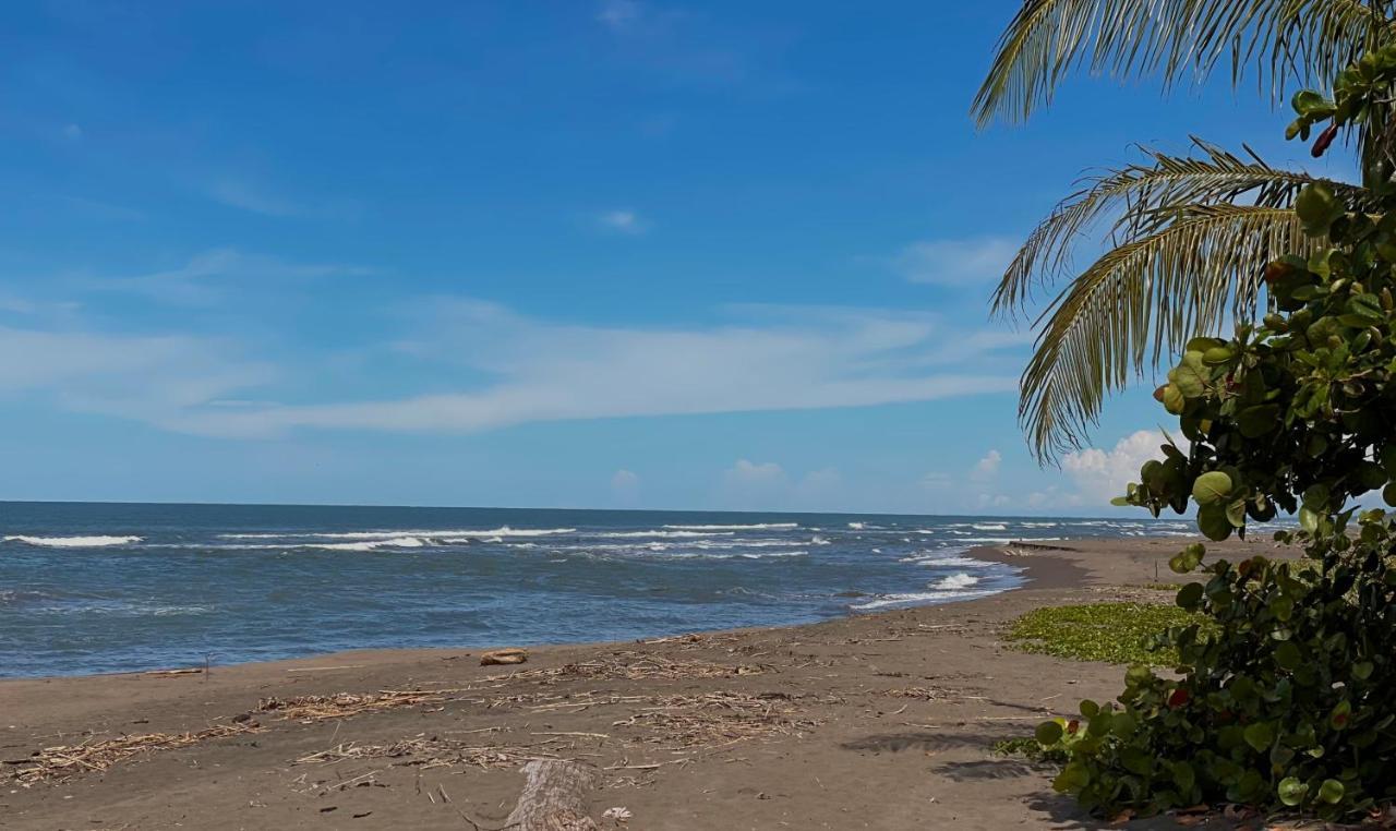 El Icaco Hotel Tortuguero