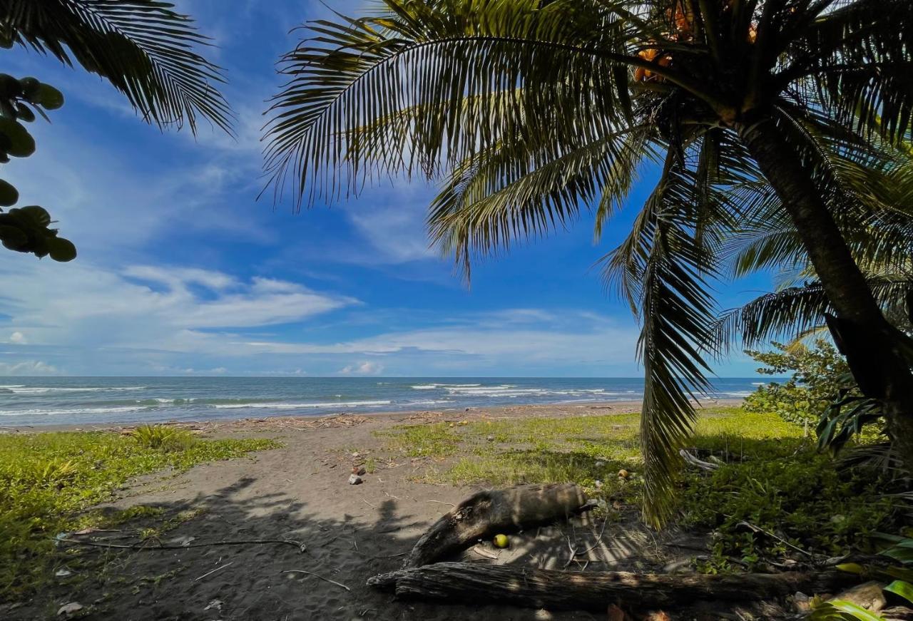 El Icaco Tortuguero