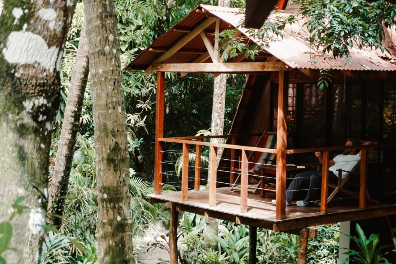 Lodge Calala *