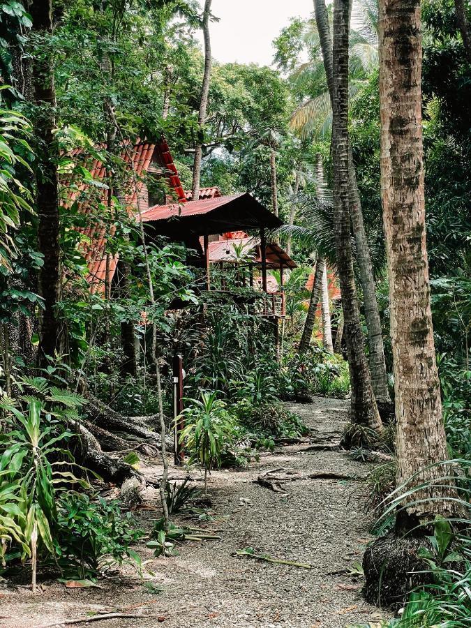 Lodge Calala