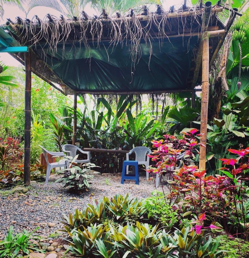 Hidden Jungle House *