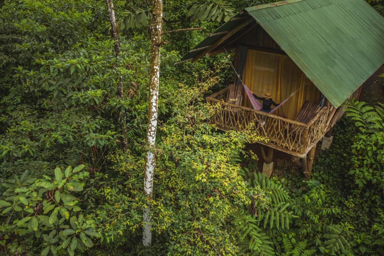 Lodge La Tigra Rainforest
