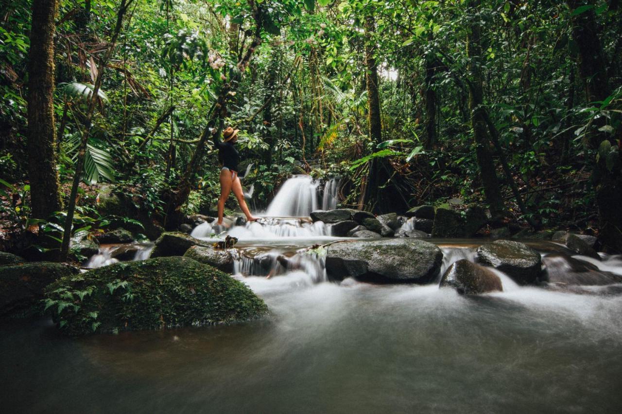 La Tigra Rainforest Lodge