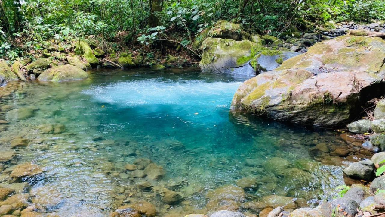 Blue River & Hot Springs Liberia