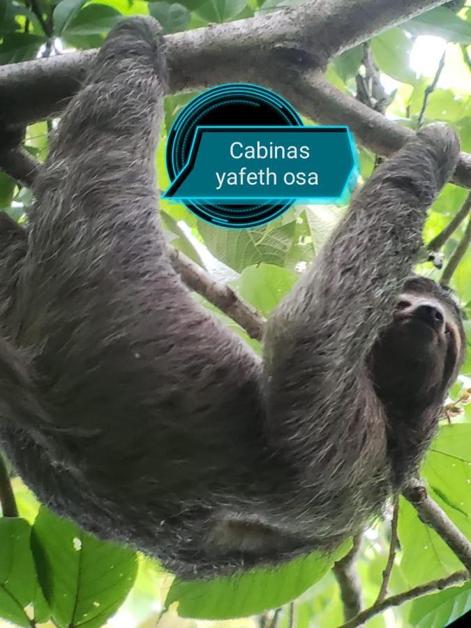 Apartment Yafeth Osa *