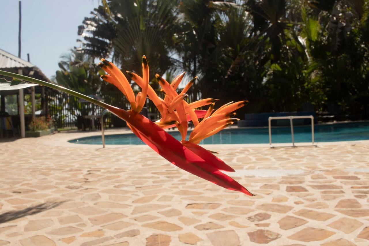 Hotel Playa Westfalia 3*