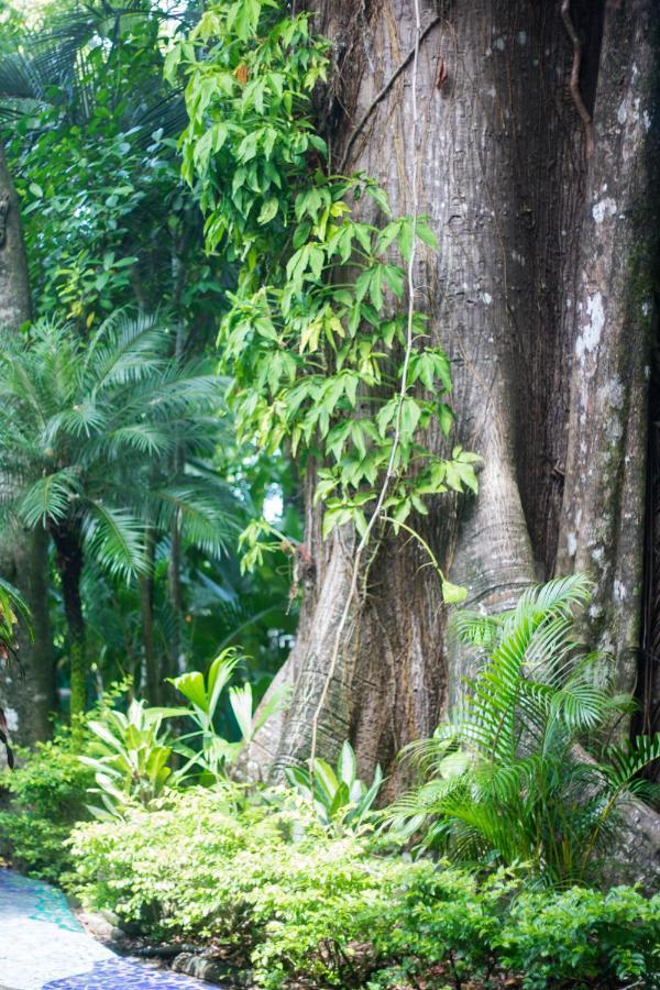 Oceanfront Mar Direct Access To The Manuel Antonio