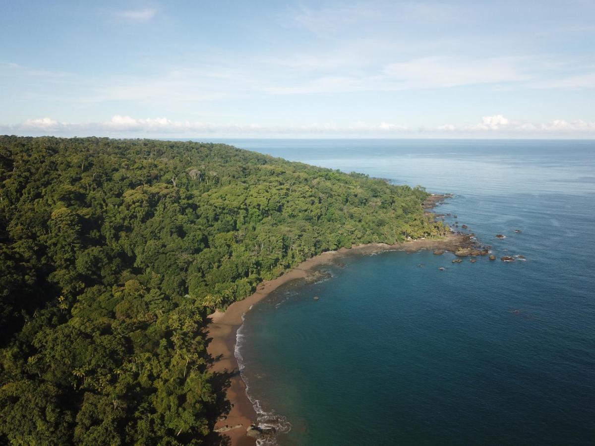Gitana Corcovado, Y Tour Operador