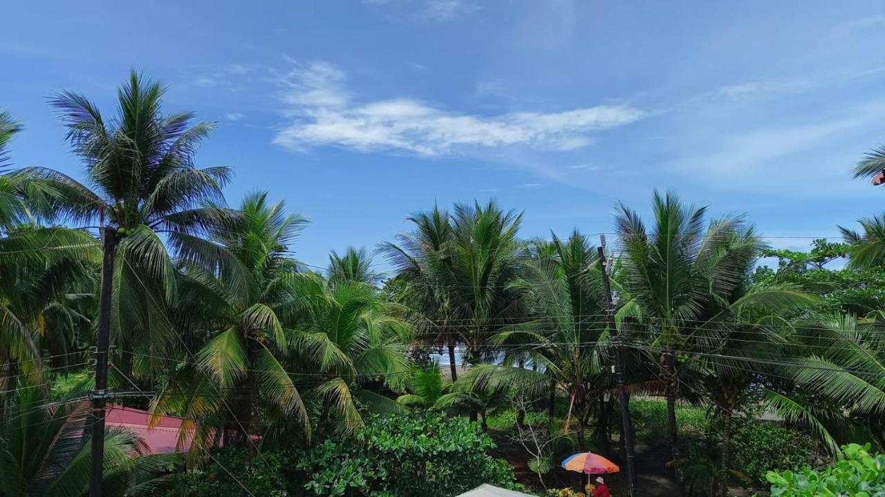 Guest house Pura Natura Beachfront Tortuguero