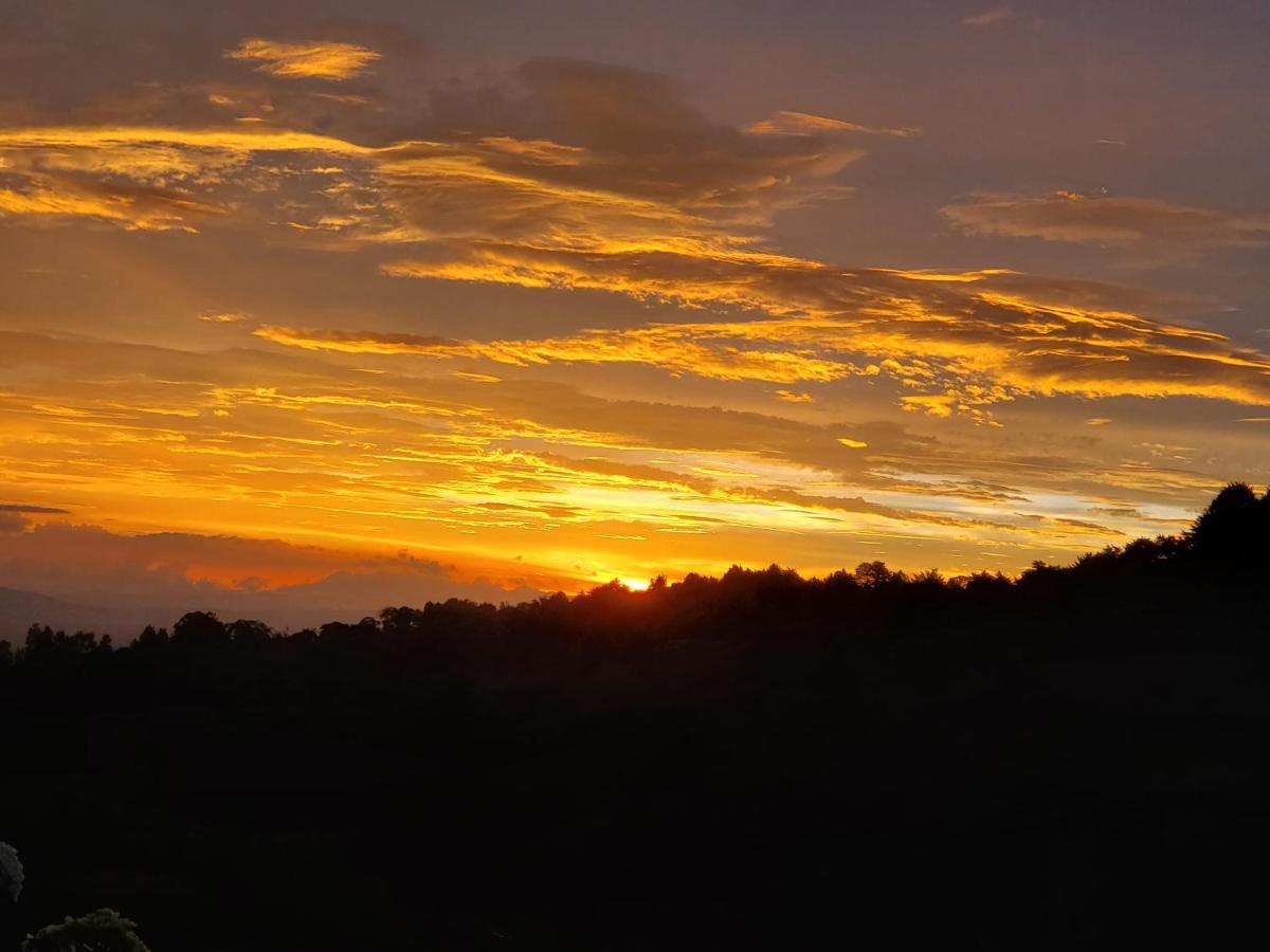 Finca Paraiso Mountain Retreat Near San Jose Airport Hotel Birri