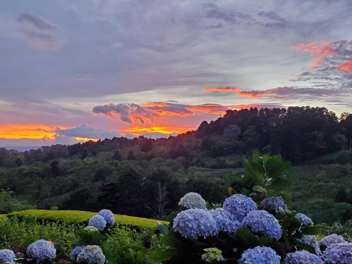 Finca Paraiso Mountain Retreat Near San Jose Airport Hotel Birri