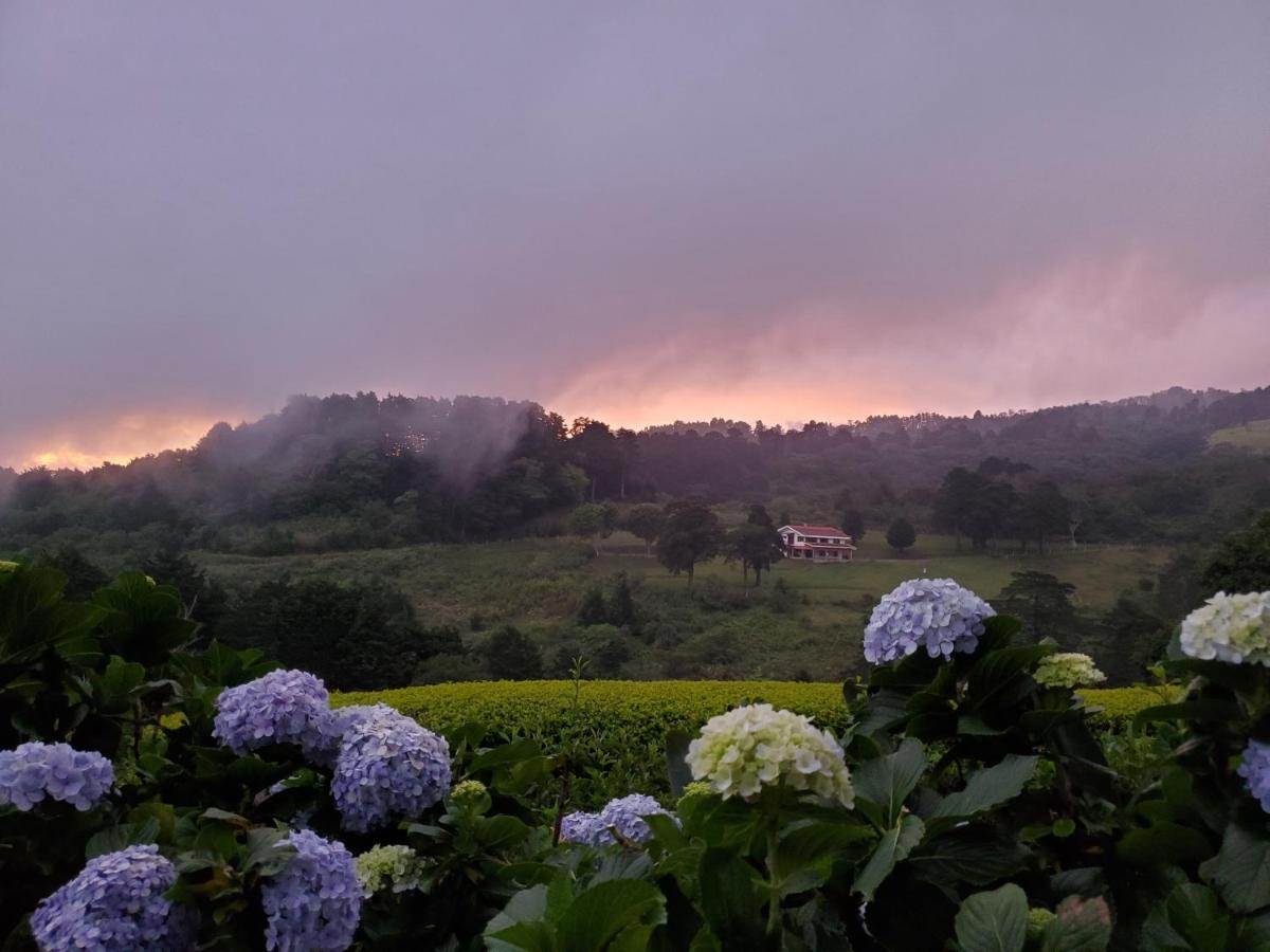 Finca Paraiso Mountain Retreat Near San Jose Airport 5*