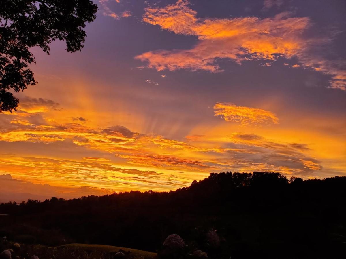 Finca Paraiso Mountain Retreat Near San Jose Airport 5* Birri