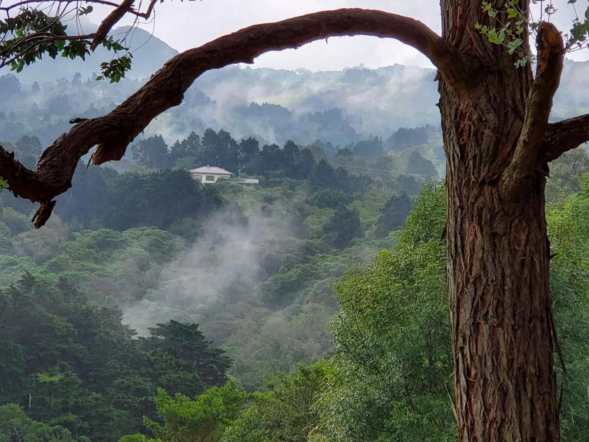 Finca Paraiso Mountain Retreat Near San Jose Airport Birri