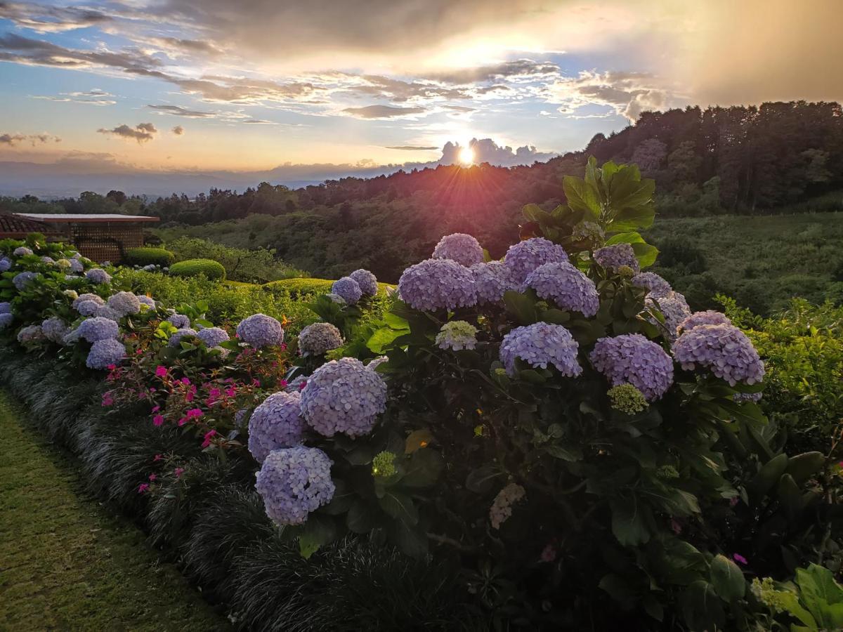 Finca Paraiso Mountain Retreat Near San Jose Airport 5*
