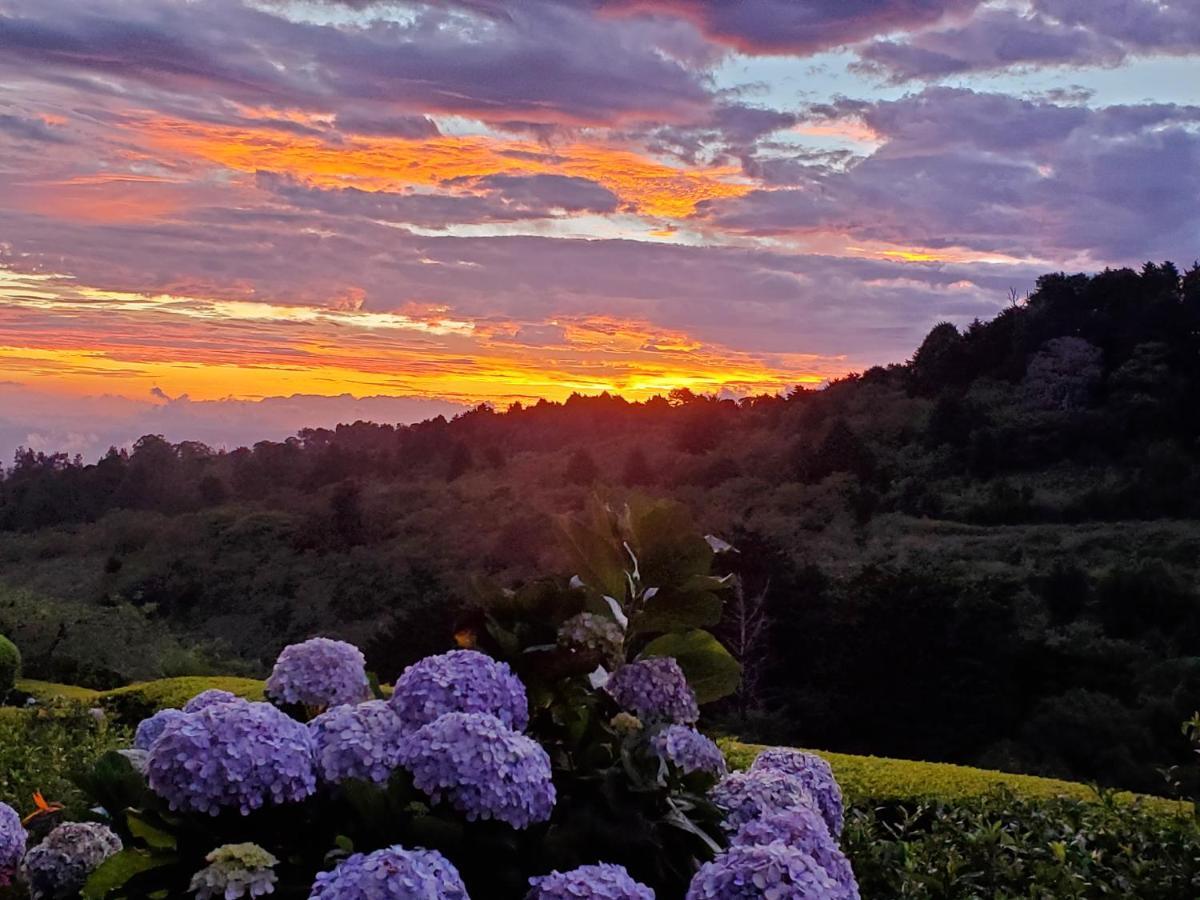 Hotel Finca Paraiso Mountain Retreat Near San Jose Airport Birri