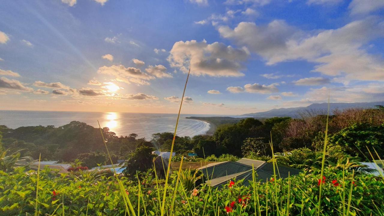 Ballena Paraiso Uvita