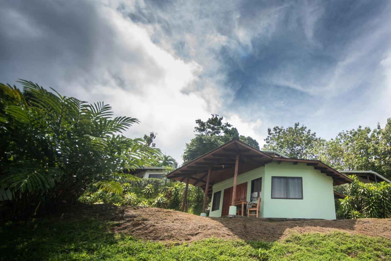 Ballena Paraiso Uvita