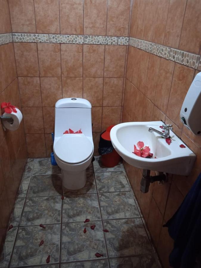 Gecko De Bed & Breakfast