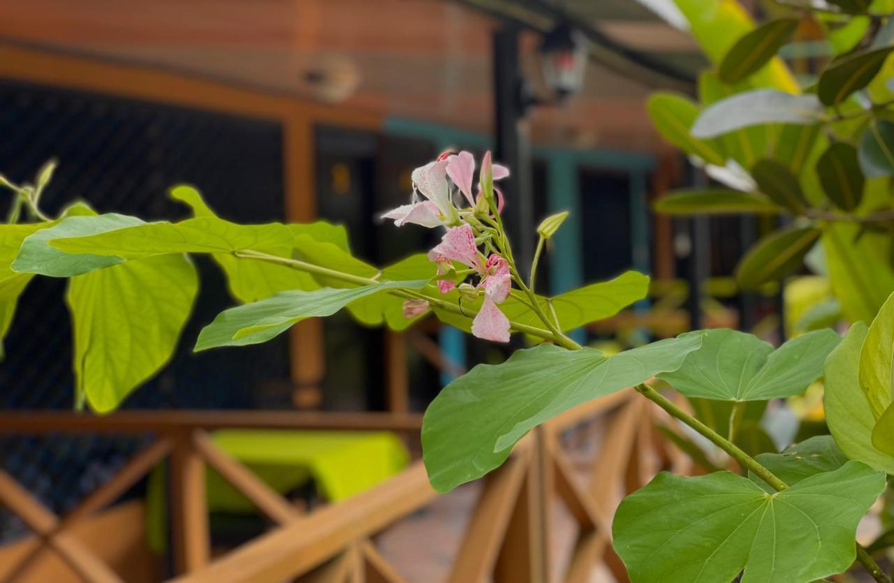 Hotel El Icaco Tortuguero