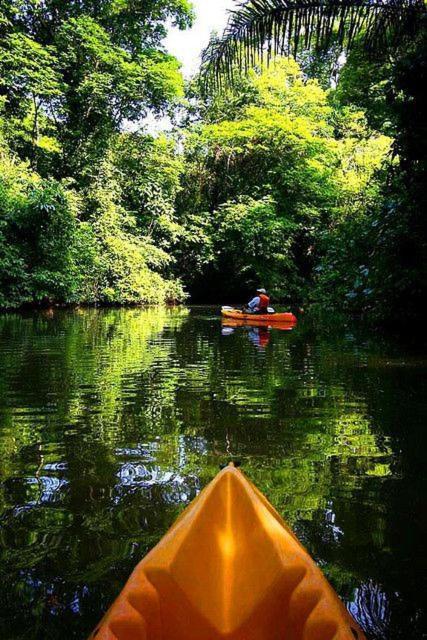 Apartment Caribbean View Tortuguero