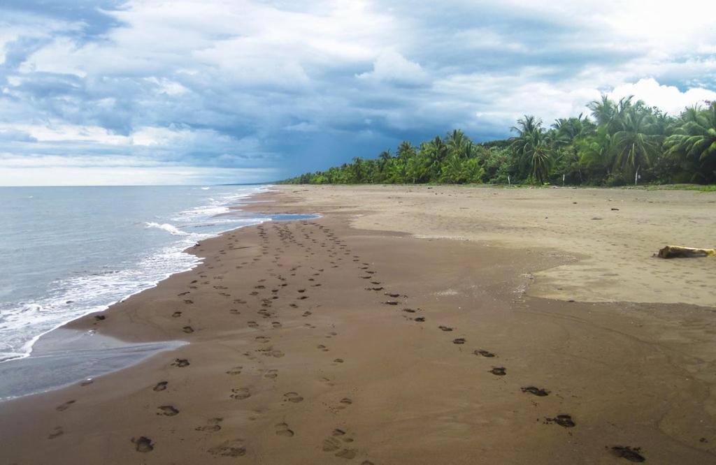 Apartment Caribbean View Tortuguero